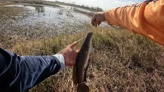 ប្រឡងកំពុងល្បី អ្នកបបក់ត្រីច្រើនមកពីគ្រប់ទិសទី #fishing #cooking #adventure