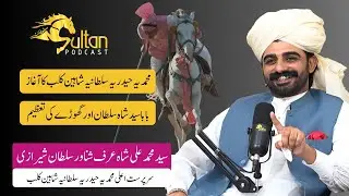 Shanawar Sultan Shah Sherazi || The True Spirit of Horsemanship Lies in Respect &mdash; Not Dominance
