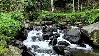 Find a quiet escape with calming river sounds in a tranquil jungle stream to restore deep calmness
