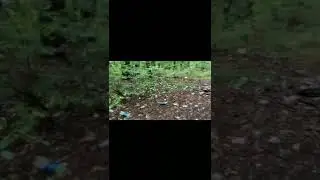 Orlen Widełka - śmieci w lesie