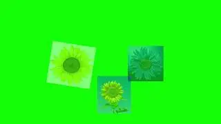 How to create a cube flower round in AF // Adobe After Effects //