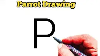 How to Draw Parrot From letter P | Easy Parrot Bird Drawing | Letter Drawing