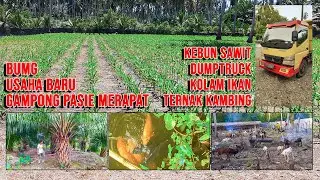 BUMG USAHA BARU [GAMPONG PASIE MERAPAT]