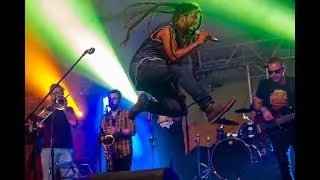 Stephen Newland & Jafia  -  