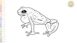 Strawberry poison dart frog drawing | Frog drawing tutorials | Draw Strawberry poison dart frog EASY