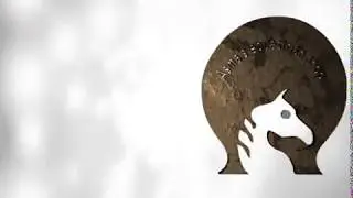 animated logo