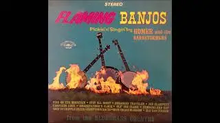 Homer And The Barnstormers &ndash; Flaming Banjos