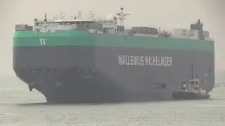 Wallenius Wilhelmsen Vehicles Carrier 