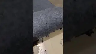 How to carpet bass boat lids