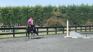 Daisy SJ