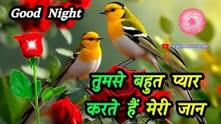 Good Night Wishes WhatsApp Status 💕 | Romantic Good Night Shayari | Love Shayari 🌹 Night Good