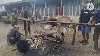 Traditional morung construction ( chitao Morung) Kenchenshu vill