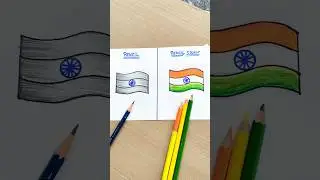 which colour is best?(pencil vs pencil colour)#viralvideo #shortsfeed #colors @Pareekart