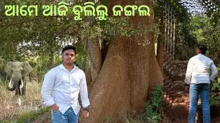 ଆମେ ଆଜି ବୁଲିଲୁ ଜଙ୍ଗଲ#vlog ,#odisha ,#odiavlog ,#vloger ,#dhenkanal 