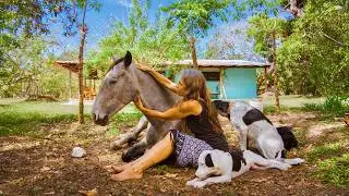 The Healing Love Joy of Happy Horses in Complete Trust | Horse Spirit Healing Costa Rica