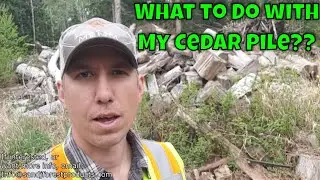 Cedar Pile, Is it Worth Any Money?