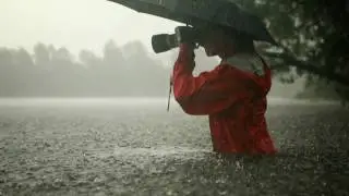 Love Grocer - Little Rain must Fall