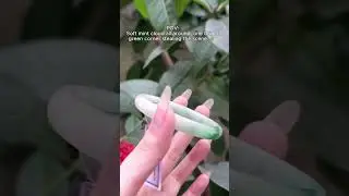 Green White Jade Bangle - YingMart