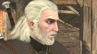 witcher races (animation the witcher)