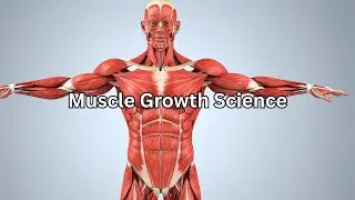Hypertrophy Training-The Truth Behind Muscle Pump [Science Explained]