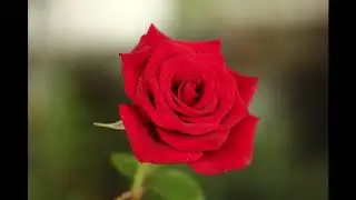Total music collection, dance, lounge, hiphop, pop
