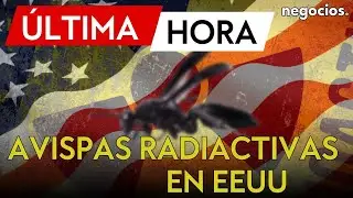 &Uacute;LTIMA HORA: Alarma en EEUU: encuentran un nido de avispas radiactivo en f&aacute;brica de bombas nucleares