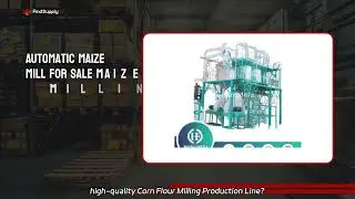 Maize Processing Systems Manufacturer | Enhance Your Grain Processing Operations