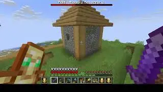 Minecraft Hardcore 1.21.11 Gameplay Link VS Pillager Raid but Pillagers are missing