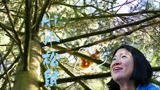 向森林学能量管理：让你不再内耗的三个法则 | 沉浸式徒步Talk