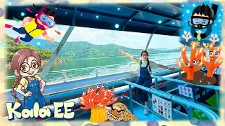 海洋|海下灣海岸公園|Learning Ocean Conservation in Hoi Ha Marine Park with KalaEE| 珊瑚|環保|WWF|廣東話教學|兒童中文學習| 親子