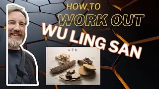 Wu Ling San! How to use it!?