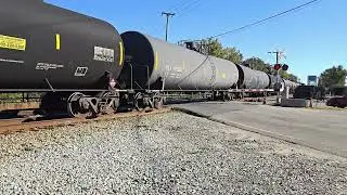 NS NV03