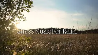 Stress Music For Relief, 1 Hour Music that can help you de-stress