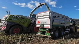 SILAŽA 2K25 {KMETIJA KRANJC} {JOHN DEERE 4x-ZETOR-2x-STEYR-1x-CLASSXx2}