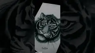 Tiger face Drawing🤩 Timelapse|| #tigerface  #drawing #shorts