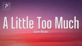 Shawn Mendes - A Little Too Much (Lyrics)