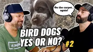 Do You Really Need a Bird Dog? | Upland Underdog Podcast #2