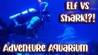 Adventure Aquarium - Christmas Underwater - Camden New Jersey - SANTA SWIMS WITH A SHARK?!