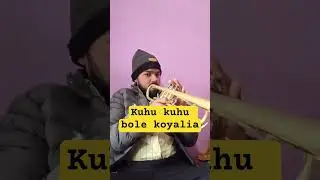 kuhu kuhu bole koyalia song on trumpet 🎺 #bindu #music