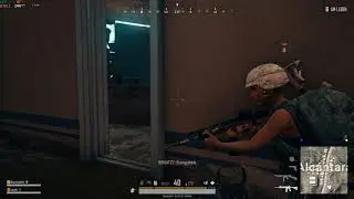 chicken7