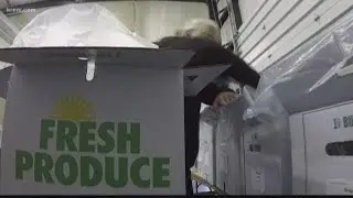 Spokane-area farmers left with too much produce amid coronavirus closures