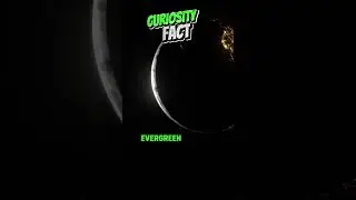 Curiosity Fact 🌍  #story #shorts #facts #curiosity #world