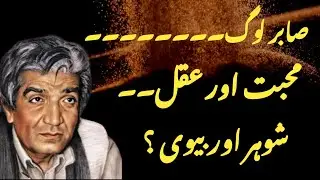 Beautiful Islamic Quotes  | Bano Quotes |Inspiring Quran and Hadith Sayings | Mehar Alam Voice 🌟