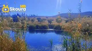 عوينة الركراك: الجوهرة المخفية في إقليم صفرو! هل تستحق أن تكون وجهتك القادمة؟ 🌿💦