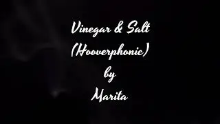 Vinegar & Salt - Hooverphonic (Cover by Marita)
