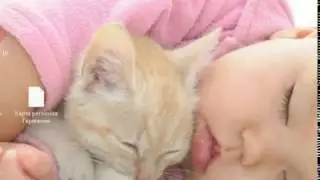 sunky MPEG y silly TIFF - especial video del dia del niño