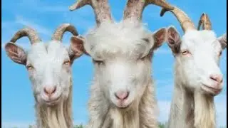 Goat Simulator 3