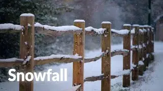 Relaxing snowfall | Sussex winter countryside