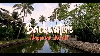 Backwaters Alleppey / Alappuzha Cinematic 4K 60fps | KERALA |  INDIA TOURISM