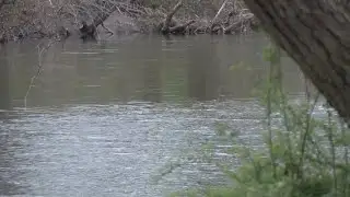 Second person dies after being pulled from Swatara Creek